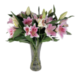 Flowers of Tranquility
