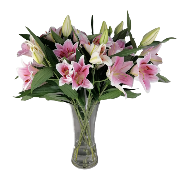 Flowers of Tranquility